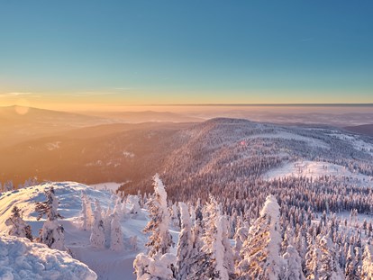 Luxusurlaub - Bayern - Bayerische Wald im Winter - Wellness & Naturresort Reischlhof **** Superior 